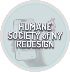 Humane Society of New York Case Study Button